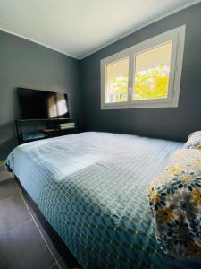 a bedroom with a large bed and two windows at « Le Magnolia » charmant gîte avec terrasse in Saint-Bauzille-de-la-Sylve