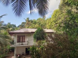a house with a balcony in the middle of trees at Jungle Village Homestay in Pinnawala