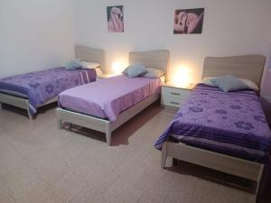 Postel nebo postele na pokoji v ubytování Casa AuroraRosa