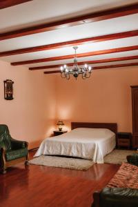 a bedroom with a bed and a chandelier at Mala Praha in Uzhhorod