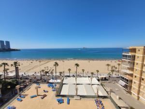 a view of a beach with palm trees and the ocean at Santa Margarita-Fincas Benidorm in Benidorm