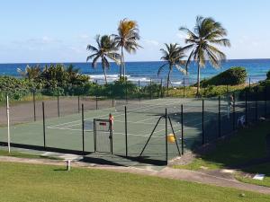 um campo de ténis com palmeiras e o oceano em Studio CocoCaraïbes Anse des Rochers vue mer - piscine em Belle-Allée