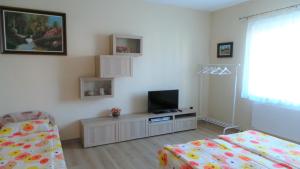 sala de estar con cama y TV en una habitación en Rozalia Apartman, en Gyula