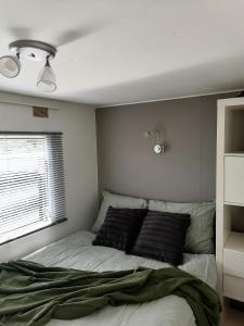 1 dormitorio con cama y ventana en Puur genieten chalet met patio, bos en bosbad, en Havelte