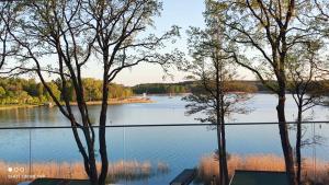 a view of a lake with trees in the foreground at LOFT STRANDA in Giżycko