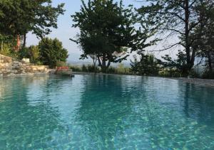 una grande piscina di acqua blu con alberi sullo sfondo di Tenuta SantoJanni - Irpinia a SantʼAngelo deʼ Lombardi