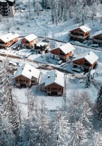 Vivez les vacances à la montagne, détente et balades- Les Orres 1650 Animaux OK iarna