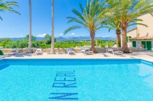een zwembad met palmbomen en stoelen bij Son Real in Sencelles