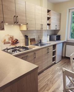 A kitchen or kitchenette at MARCO Apartment 8