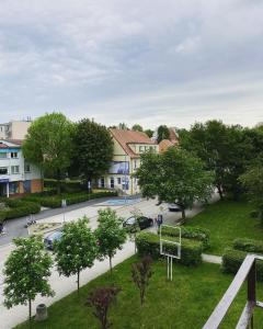 un aro de baloncesto en un parque con árboles y casas en MARCO Apartment 8, en Giżycko