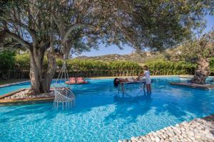 Bazén v ubytování Ow Andros Luxury Suites nebo v jeho okolí