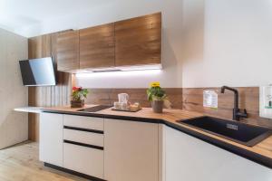 A kitchen or kitchenette at YUGOGO PELLICO 8 Trento Centro