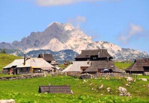 Foto dalla galleria di Holiday Home 'Pekovo 1825' a Ljubno