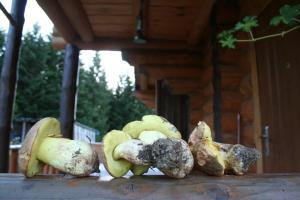 Fotografia z galérie ubytovania Sadyba Drymba v destinácii Skhidnitsa