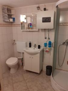 a bathroom with a toilet and a sink and a shower at Apartman Sanjković in Rovinjsko Selo +40 photos