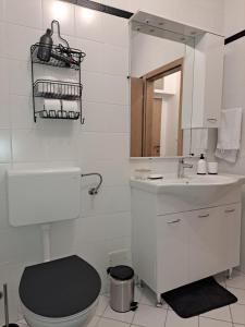 a bathroom with a toilet and a sink and a mirror at Apartman Karmen in Vodice +16 photos