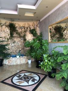 Giardino di Hotel Antik