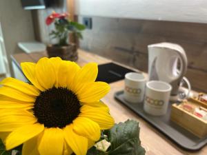Coffee and tea making facilities at YUGOGO PELLICO 8 Trento Centro