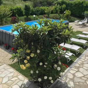 a garden with flowers and a swimming pool at B&B Villa Prestigio in Novi Ligure