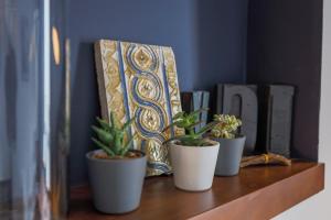 three potted plants sitting on top of a shelf at Cantabria 10 in Seville