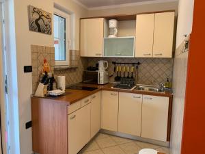 Kuchyň nebo kuchyňský kout v ubytování Apartment Ines
