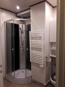 La salle de bains est pourvue d'une douche et de toilettes. dans l'établissement Le Skieur, à Saint-Léger-les-Mélèzes