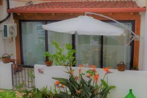 Dimora d'Estate (Sicilian Holidays)外面的花园