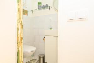 a small bathroom with a toilet and a sink at Houseboat studio with canalview and free bikes in Amsterdam