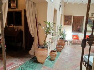 a living room with potted plants on the floor at Hostal Casa Del Buen Viaje in Seville