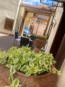 Imagen de la galería de Hotel Villa Franca, en Sighişoara