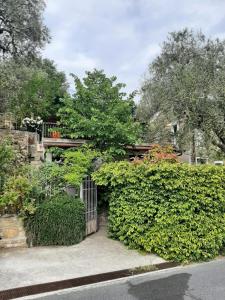 a hedge with a gate in front of a house at La casa di Elda in Sanremo