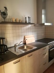a kitchen with a sink and a counter top at Apartment in ruhiger Wohnlage Sie sind in 3 Minuten am Trebbower See oder in 30 Minuten an der Ostsee in Klein Trebbow