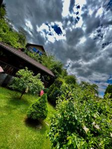 Billede fra billedgalleriet på Cabana Vânătorilor i Poiana Mărului