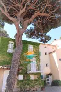 um edifício com uma árvore em frente em Duplex au coeur du Port d'Hyères- Plages Parking BY HC em Hyères