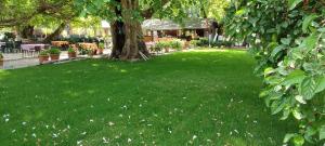 Zahrada ubytování Garden Pansiyon Çıralı