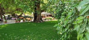 Zahrada ubytování Garden Pansiyon Çıralı
