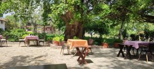 Zahrada ubytování Garden Pansiyon Çıralı