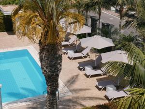 a group of lounge chairs and a palm tree next to a pool at Villa Galati Resort in Mascali