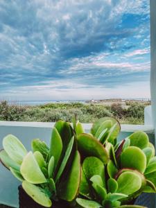 a potted plant sitting on a balcony looking out at the ocean at Luxury 3BR Sunrise Villa , Seaside Gyrismata in Skiros
