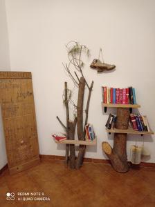 Knihovna v bed and breakfast