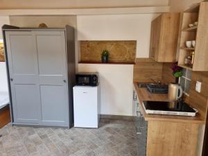 a small kitchen with a refrigerator and a microwave at Apartmany Vila Lucia 6 in Pilsen
