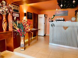 Kuchyň nebo kuchyňský kout v ubytování Vila3 Hotel