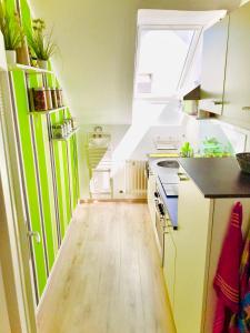 Grace Apartment في غروميتز: مطبخ صغير مع ثلاجة خضراء وبيضاء