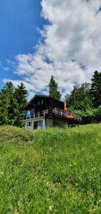 a man standing on the roof of a house at Chalet Nature in Thollon