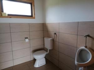 La salle de bains est pourvue de toilettes et d'un urinoir. dans l'établissement GLAMPING HOUSE RANČ LUŽE, à Luže