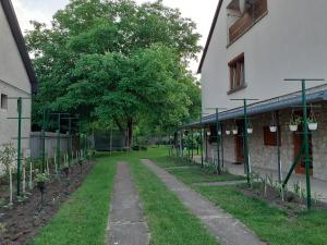 ボガーチにあるFarkas Piroska Vendégházの木道の隣の庭園