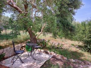 Zahrada ubytování Physis b&b-a casa di Clio