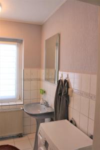 uma pequena casa de banho com um lavatório e um espelho em Lro em Stäbelow