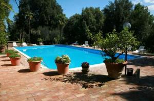 a swimming pool with potted plants on a brick patio at camere in Villa d'epoca in Abbazia di Santa Maria in Selva