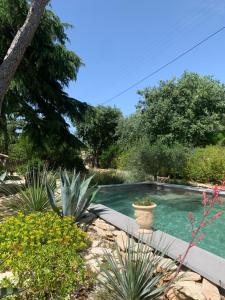 una piscina en un jardín con plantas en Chambres d'Hôtes Lovely Planette, en Nimes 19 fotos más